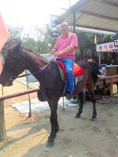  供應東莞出租旅游專用馬車 馬匹原始圖片3