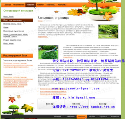 滿洲里俄文網(wǎng)站制作，黑河俄語網(wǎng)站開發(fā)，俄羅斯網(wǎng)絡(luò)營銷原始圖片2