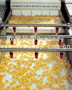 清洗機塑料網帶/果蔬清洗設備塑料網/洗碗機塑料鏈網