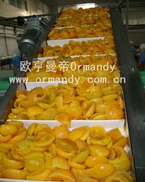 清洗機塑料網(wǎng)帶/果蔬清洗設(shè)備塑料網(wǎng)/洗碗機塑料鏈網(wǎng)