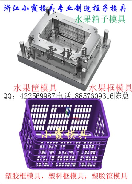 桑葚蓝模具  无花果筐模具  POM塑料模具生产