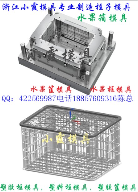 蘋果藍模具  葡萄藍模具  大型塑料模具制造