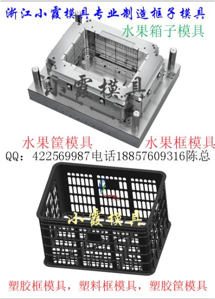 蓝莓框模具  菠萝框模具  浙江黄岩北城塑料模具