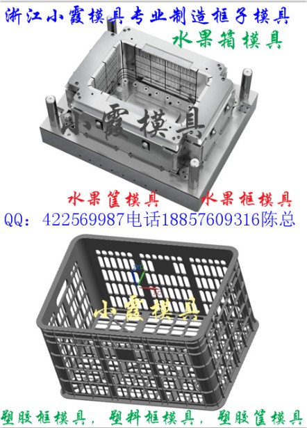 藍莓藍模具  菠蘿藍模具  Plastic mold