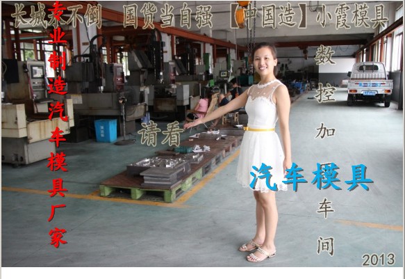 保險杠模具，汽車儀表臺模具，威麟車塑料模具， 汽車模具加工原始圖片2