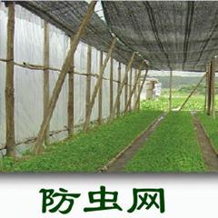 乙烯防虫网 聚乙烯材质蔬菜大棚防虫网报价