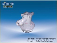 科海DGS-18/127L(A)礦用隔爆型LED巷道燈