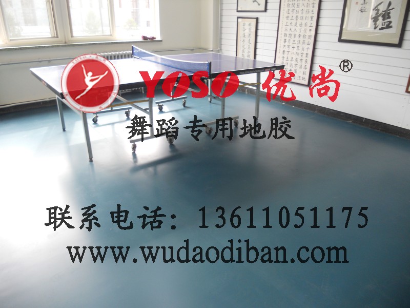 PVC地板適用范圍  PVC舞蹈地板  PVC舞蹈地膠 原始圖片3