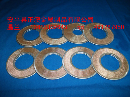 (正澳）不銹鋼 spl過濾片在線供應原始圖片3