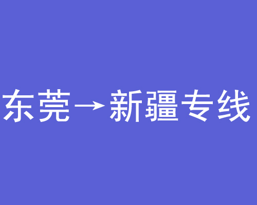 武漢專線往返