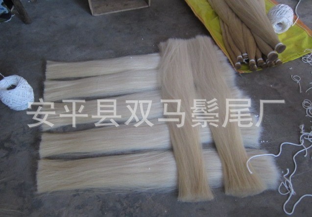馬尾毛