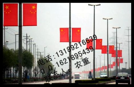 LED中國(guó)國(guó)旗燈 LED紅旗燈 廣東中山LED國(guó)旗燈外殼廠家原始圖片3