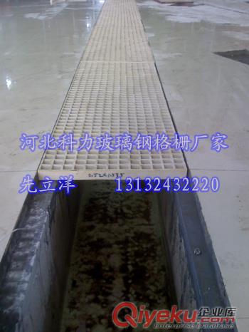 供應科力玻璃鋼塑模格柵，承重強、易清洗原始圖片2