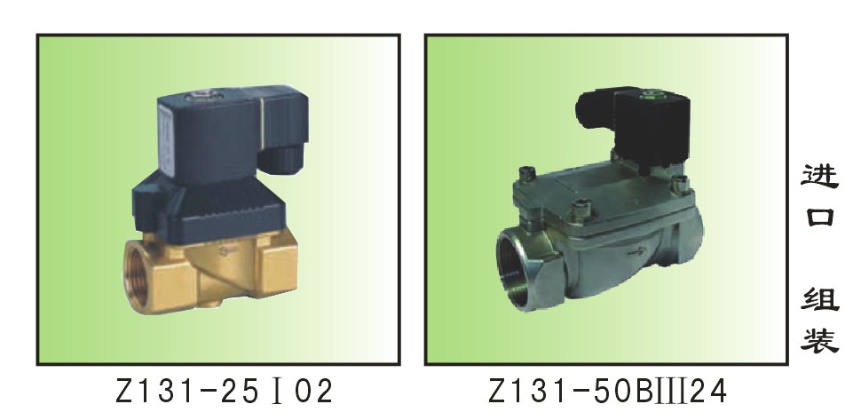 ZCH-65CFIV02/ZCH-80CFI02/ZCH-100CFV02先導活塞式電磁閥