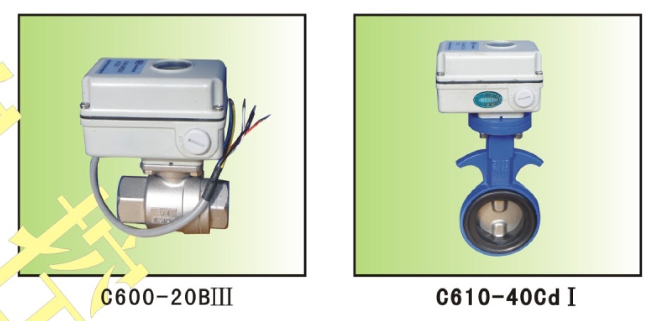 C600-20BIII24/C600-25BIII24微型電動(dòng)閥