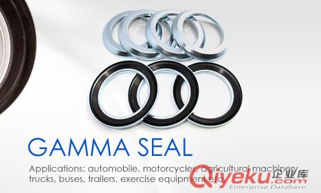 GAMMARingGamma seal,RE臺灣進口