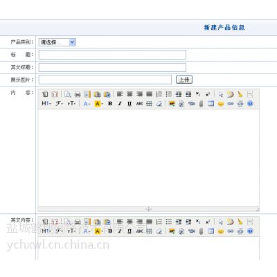 企業中英文網站建設