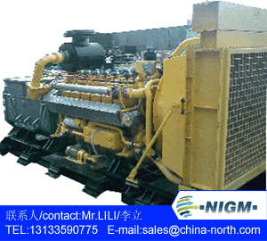 MWM TBG236V8陸用天然氣低壓發(fā)電機(jī)組 160千瓦1500轉(zhuǎn)