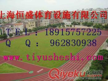 桐鄉塑膠跑道施工報價桐鄉塑膠跑道材料價格