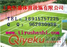 桐鄉塑膠跑道施工報價桐鄉塑膠跑道材料價格