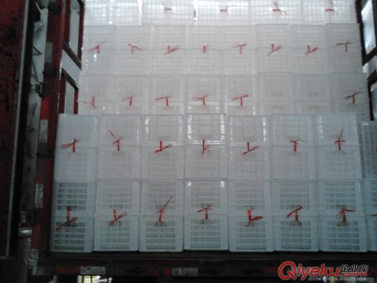 塑料筐型號，塑料筐價格，水果塑料筐價格