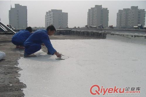 珠海鋼結(jié)構(gòu)屋面防水,珠海樓面防水補(bǔ)漏,珠海星瓦補(bǔ)漏