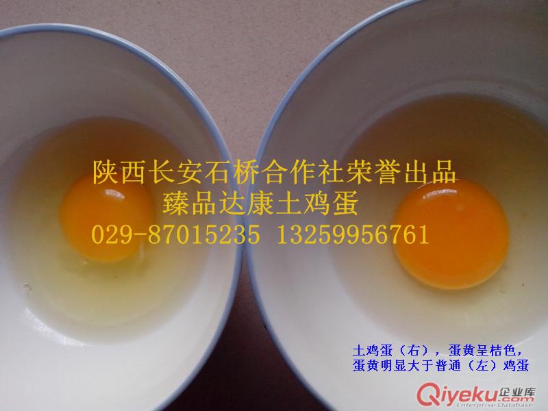 土雞蛋--一品達(dá)康原始圖片3