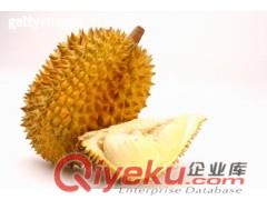 鮮榴蓮進(jìn)口東莞清關(guān)報(bào)檢流程 