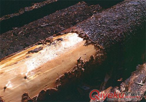 供應(yīng)根雕去樹(shù)皮高壓清洗機(jī)原始圖片3