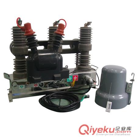 ZW32-12F智能分界開關（帶看門狗零序保護）廠家直銷