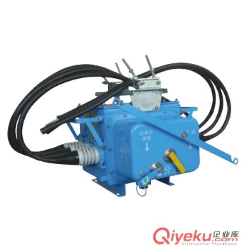 FZW28-12F用戶分界負荷開關安裝公司專用