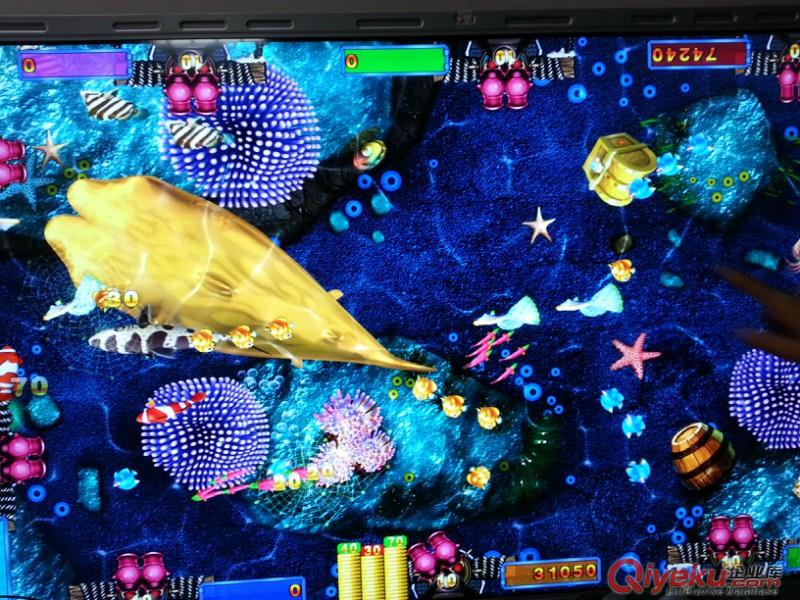 1000炮雙響鍔魚