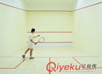 壁球?qū)Ｓ貌牧? />
                                
                             </div>
                             壁球?qū)Ｓ貌牧?
                         </a>
                      
                         <a target=