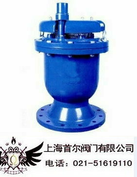 高流量組合排氣閥廠家-高流量組合排氣閥價(jià)格表原始圖片2