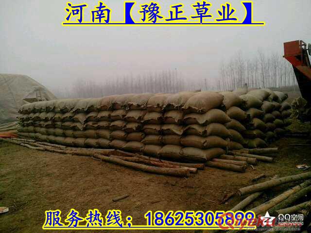 河南【豫正農貿】大量銷售優質花生秧、草粉、羊草、草捆、殼粉、小麥