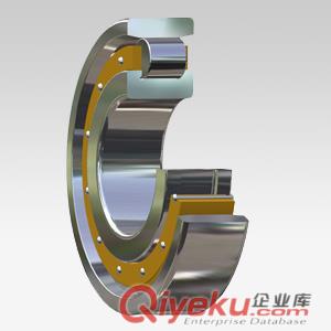 NSKHJ2219E圓柱滾子進口軸承