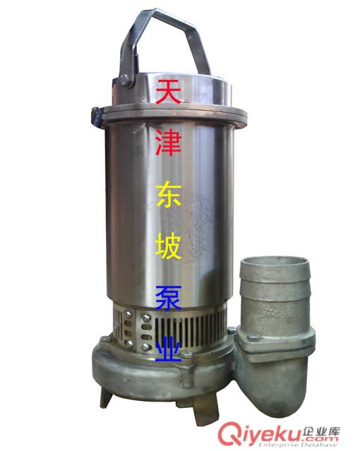 天津白鋼潛水泵
