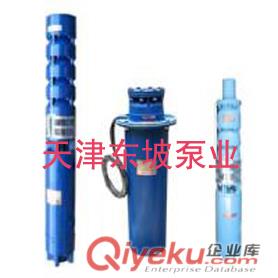 天津耐腐蝕不銹鋼潛水泵