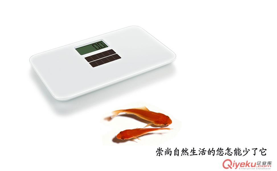 太陽能電子體重秤