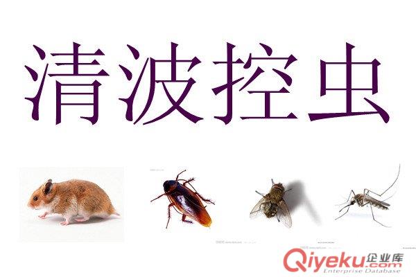 泰安滅蟑螂清波教你認識六大誤區