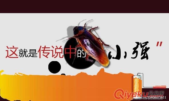 泰安滅蟑螂蟑螂危害原始圖片2