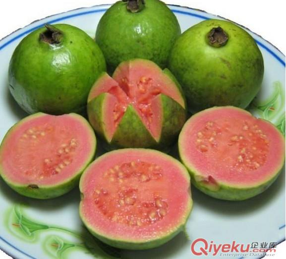 芭樂果汁粉【水果粉，香精香料，高湯粉，即溶果粉，凍干粉】