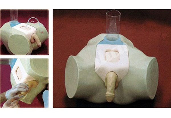 高級男性膀胱穿刺模型