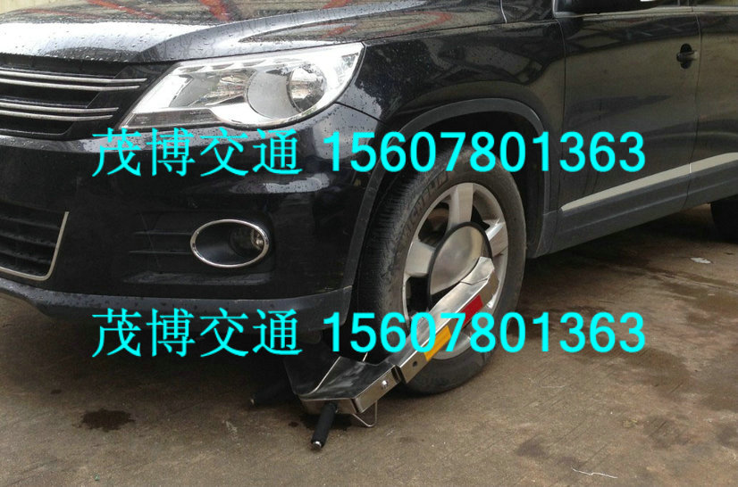 廈門市供應不銹鋼汽車車輪鎖原始圖片2