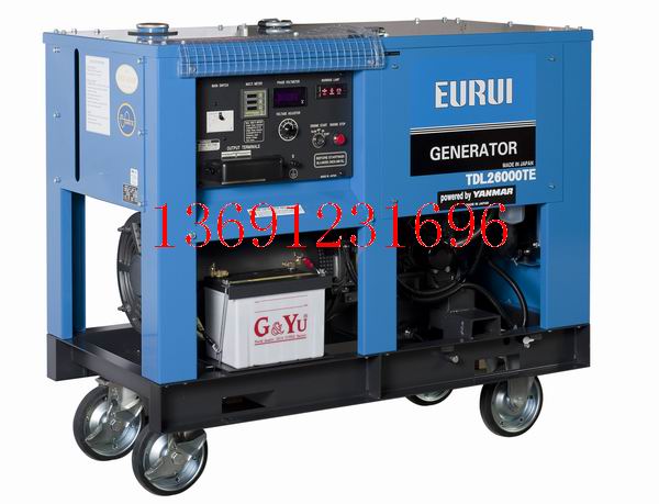 EURUI柴油發(fā)電機原始圖片2