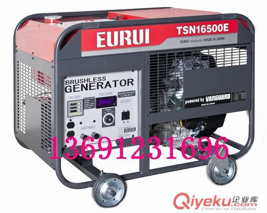 EURUI東洋汽油發電機原始圖片2