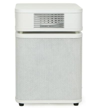 美國奧司汀空氣凈化 甲醛專用型HM450