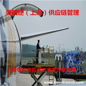 上海空運代理*上海國際空運*德國空運代理原始圖片3