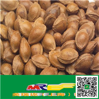 上海食品進口報關(guān)原始圖片3