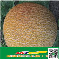  餅干食品上海進(jìn)口代理清關(guān)
